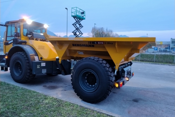 Bergmann C815 trilaterale TARGATO - Gallery