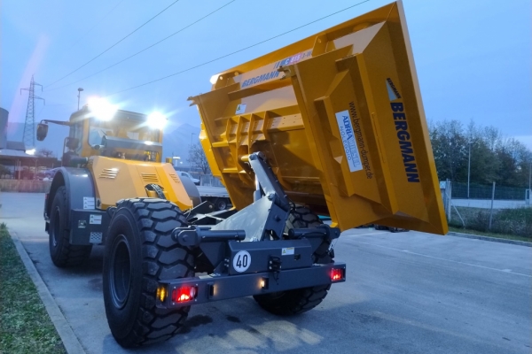 Bergmann C815 trilaterale TARGATO - Gallery