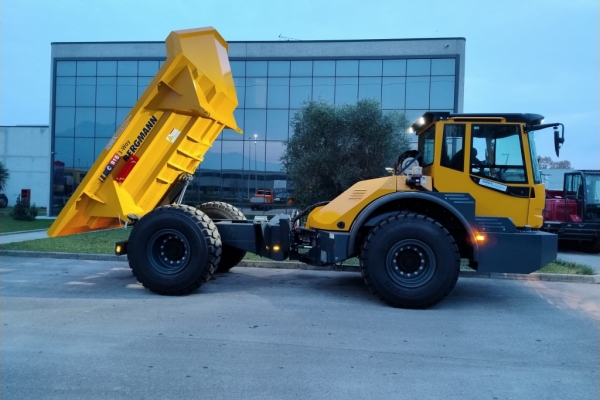 Bergmann C815 trilaterale TARGATO - Gallery