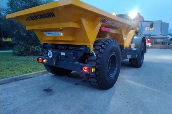 Bergmann C815 trilaterale TARGATO - Gallery