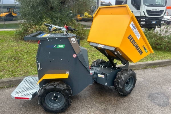 Bergmann C301L - Gallery